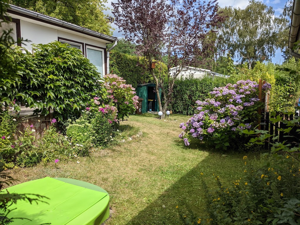 Blick in den Garten, umgeben von Hecken, mit Sandkasten für die Kinder