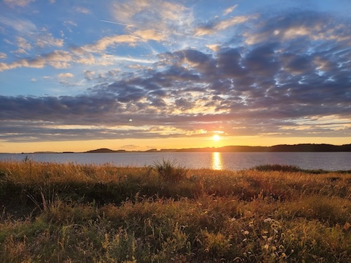 Sonnenuntergang - Mönchgut - Alt Reddevitz unterhalb des Fliegerbergs