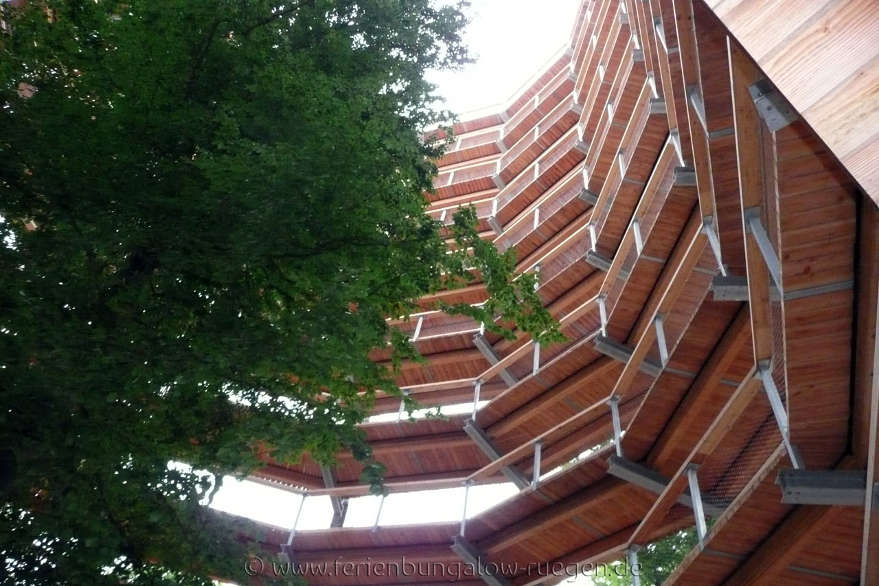 Baumwipfelpfad in Binz - Rügen