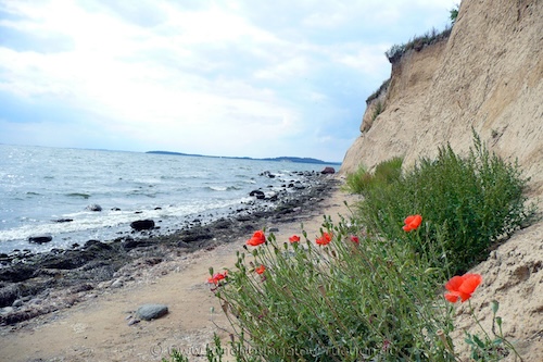 Strand und Steilküste vom Reddevitzer Höft